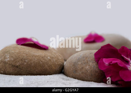 stones and red rose petals on white sand Stock Photo