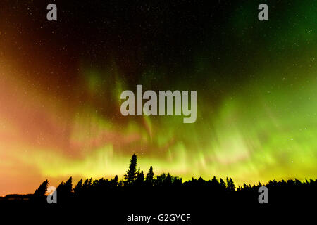 Northern lights (Aurora borealis) Birds Hill Provincial Park Manitoba Canada Stock Photo