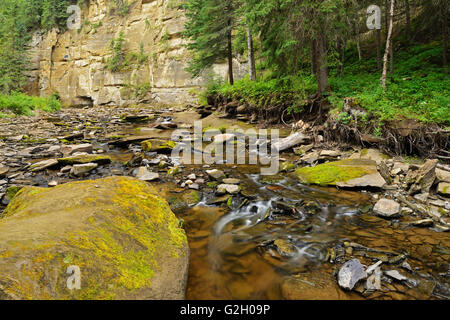 Hard Luck Canyon Whitecourt Alberta Canada Stock Photo