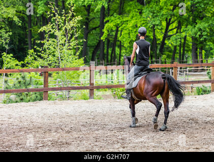 male athlete rides on horse, exercise outdoors Stock Photo