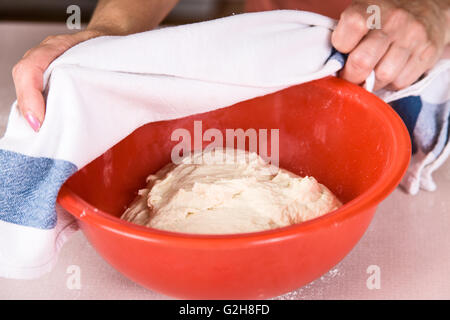 Woman covering a bowl of Naan bread dough with a damp cloth, prior to it rising in a warm place until doubled in bulk Stock Photo