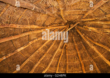 Looking up at the interior of a thatched hut at the Chiawa Cultural Village on the Zambezi River in Zambia, Africa Stock Photo