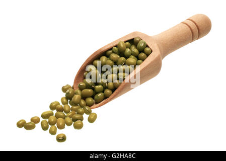 Food ingredients: heap of mung beans in a wooden scoop, on white background Stock Photo
