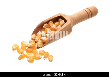 Food ingredients: heap of dried corn seeds in a wooden scoop, on white background Stock Photo