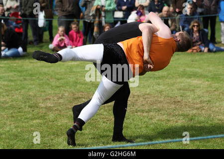 Bywell, England - May 30, 2016: Cumberland and Westmoreland Wrestling match at the Northumberland County Show at Bywell in Northumberland, England. Credit:  AC Images/17�Թ����� Live News Stock Photo