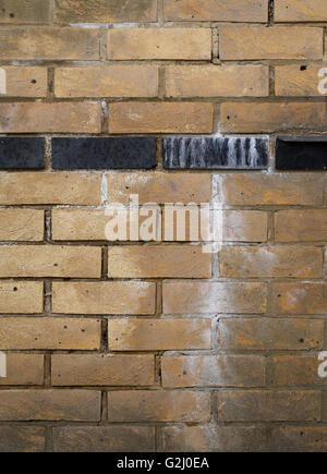 Old dirty brick wall with white paint black brick line texture background Stock Photo