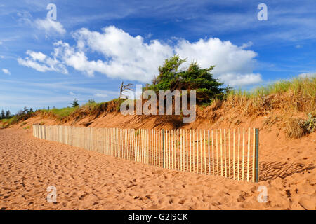A Beach Fence Along the Dunes Stock Photo - Alamy