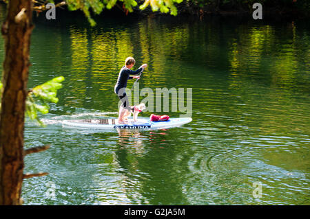 A paddle boarder and her dog paddling on Thetis Lake in Thetis Lake Regional Park in Victoria, British columbia. Stock Photo