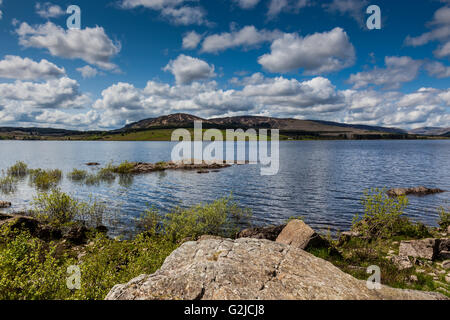 Clatteringshaws Loch in Galloway Forest Park, Dumfries and Galloway, Scotland Stock Photo