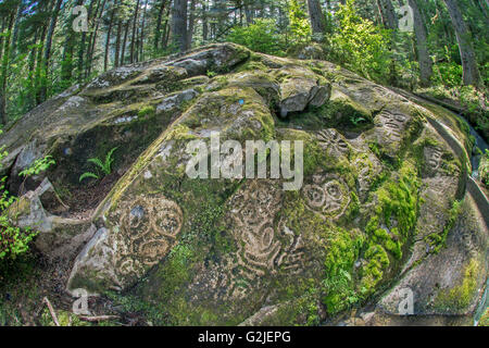 Nuxalk petroglyphs, temperate rainforest, Bella Coola, coastal British Columbia Stock Photo