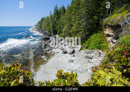 View from a cliff looking north along the West Coast Trail. Pacific Rim National Park Reserve, Vancouver Island, BC, Canada. Stock Photo