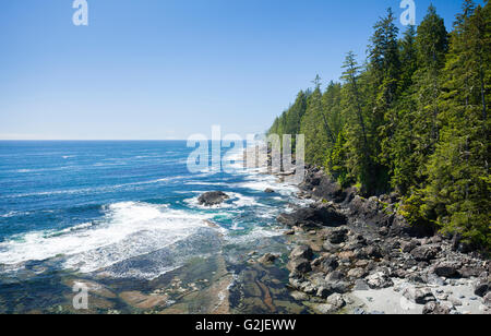 Looking north along the coastline of the West Coast Trail. Pacific Rim National Park Reserve, Vancouver Island, BC, Canada. Stock Photo