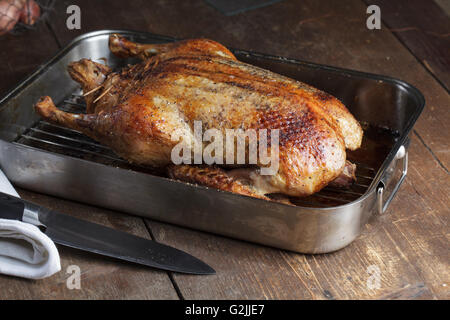 Crispy roasted Barbery Duck in in roasting pan ready for serving Stock Photo