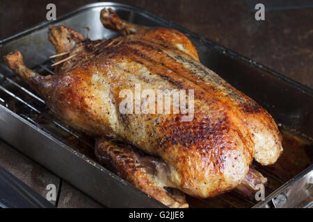 Crispy roasted Barbery Duck in in roasting pan ready for serving Stock Photo