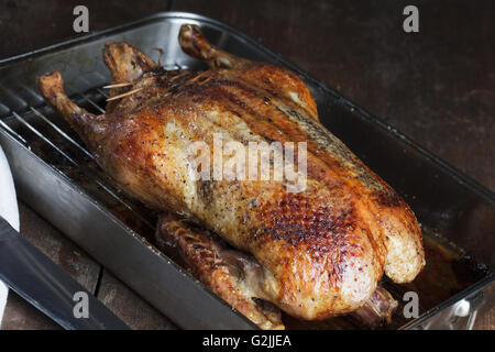 Crispy roasted Barbery Duck in in roasting pan ready for serving Stock Photo