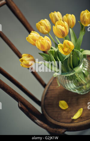 Beautiful bright yellow tulips in Still Life with old Milk Can an Lemons on antique wooden Chair Stock Photo