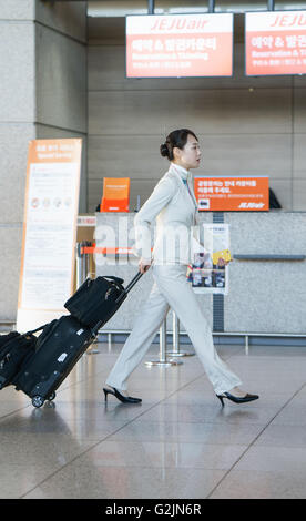 Incheon, South Korea - February 15, 2016: Asian Korean female flight attendant in the International airport of Incheon. Stock Photo