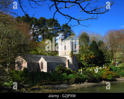 The church of St Just in Roseland, Cornwall stands on the bank of a creek of the Fal. Stock Photo