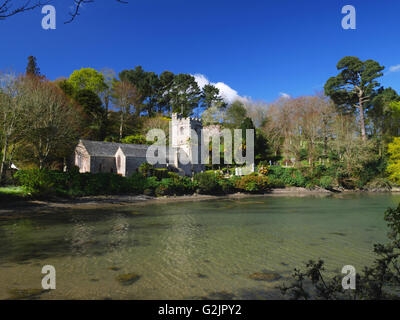 The church of St Just in Roseland, Cornwall stands on the bank of a creek of the Fal. Stock Photo