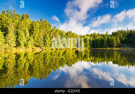 Rushing River near Kenora, Ontario, Canada Stock Photo