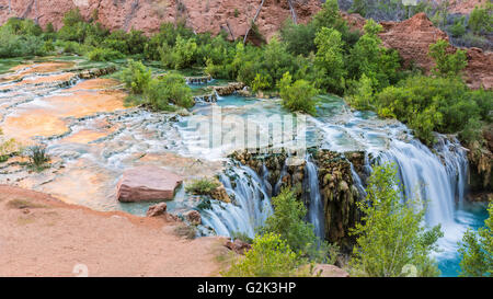 The morning sun bounces of the red cliffs and reflects off the travertine pools of Little Navajo Falls in Havasu Canyon. Stock Photo