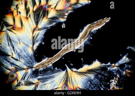 Artistic image of crystals of C vitamin, ascorbic acid. Stock Photo