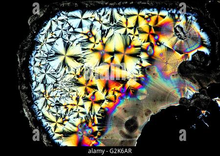 Artificial intelligence Stock Photo
