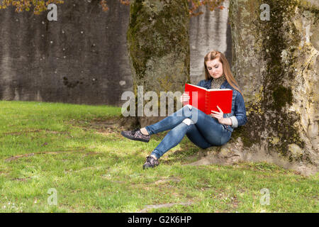 A young brown haired woman in blue jeans sitting in a park and reading a big red book. Stock Photo