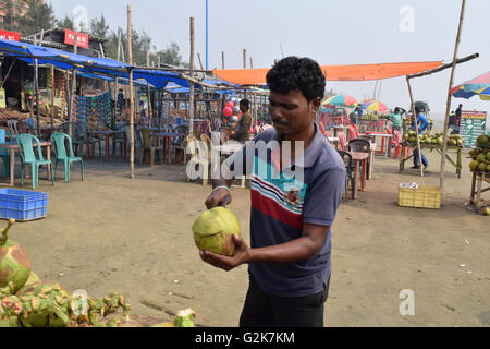 Beach at Mandermoni Bengal, Man cut the green coconut at beach. Stock Photo