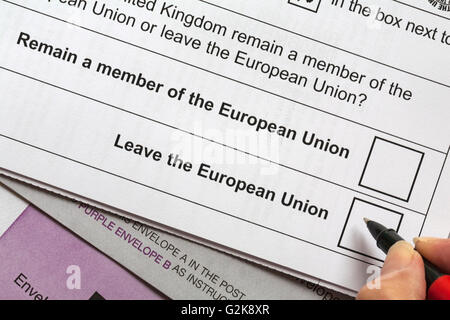 Postal voting card details of Referendum on the United Kingdom's membership of the European Union 16 getting ready to vote to leave Stock Photo