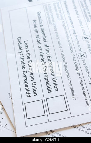 EU Referendum postal ballot or voting form to decide whether the United Kingdom should remain in or leave the European Union Stock Photo