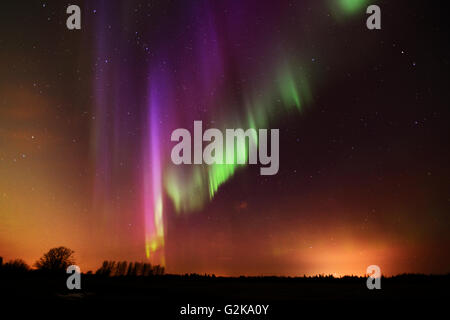 Northern lights (Aurora borealis) Birds Hill Provincial Park Manitoba Canada Stock Photo