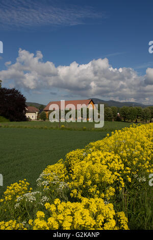 A scenic view of the Norwegian countryside in summer.Located in Skien,Telemark,Norway Stock Photo