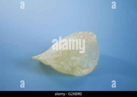 Single Potato Chip on Blue Stock Photo