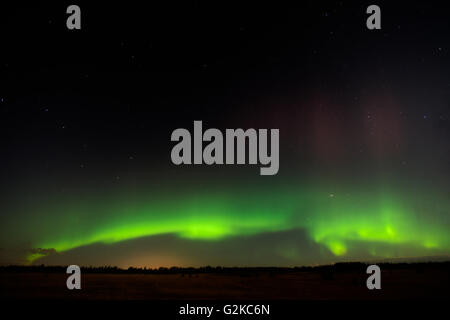 Northern lights (Aurora borealis) display Birds Hill Provincial Park Manitoba Canada Stock Photo