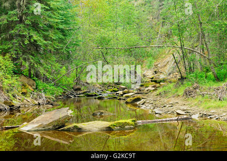 Hard Luck Canyon  Whitecourt Alberta Canada Stock Photo