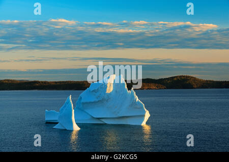 Icebergs floating in Salvage Bay of the Atlantic Ocean Eastport Newfoundland & Labrador Canada Stock Photo