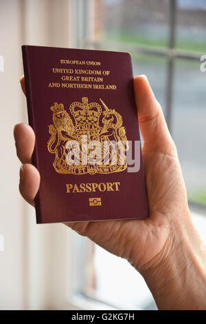 Close Up of a woman's hand holding a UK Passport Stock Photo