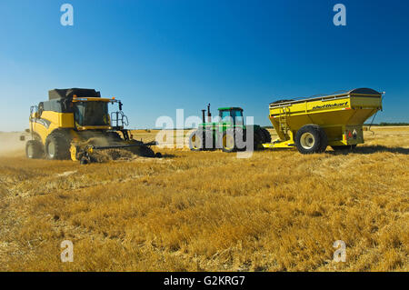harvesting 2 row barley near Fairlight Saskatchewan Canada Stock Photo