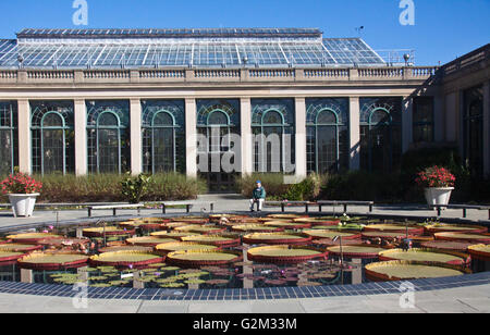 Water Lily ponds at Longwood Gardens in Kennett Square, Pennsylvania Stock Photo