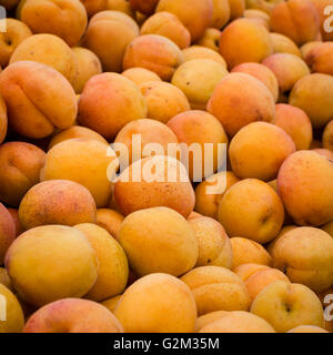 Fresh organic apricots at the Farmers Market are at the peak of sweetness and ready for fresh eating, desserts or canning Stock Photo