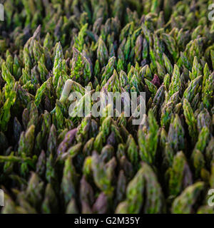 Fresh organic asparagus at the Farmers Market standing up in bunches just picked this morning and ready for your table tonight Stock Photo