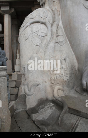 Crippers and snakes at the feet of the statue of Bahubali, Gomateshwara, Vindhyagiri Hill, Shravanbelgola, Karnataka, India Stock Photo