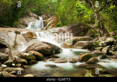 Josephine Falls in tropical Queensland. Stock Photo