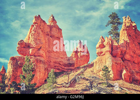 Vintage toned wild landscape in Bryce Canyon National Park, USA. Stock Photo