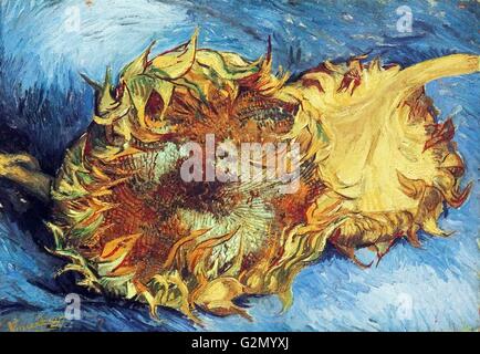 Sunflowers, Vincent van Gogh, 1887, Metropolitan Museum of ...