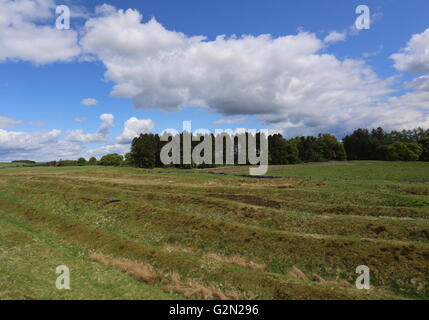 Remains of ditches and ramparts of Ardoch Roman Fort near Braco Scotland  May 2016 Stock Photo