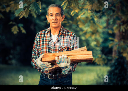 Senior Man outdoor carrying in his arms the firewood he just saw. Stock Photo