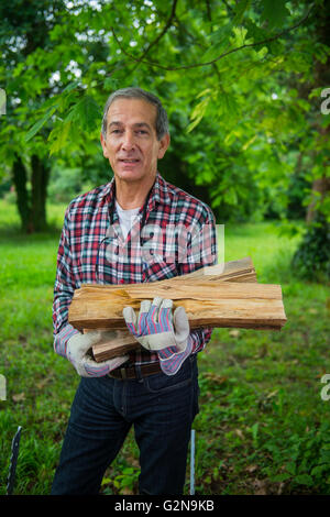 Senior Man carrying in his arms the firewood he just saw. Stock Photo