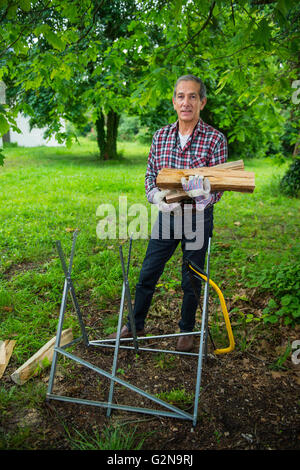 Senior Man carrying in his arms the firewood he just saw. Stock Photo